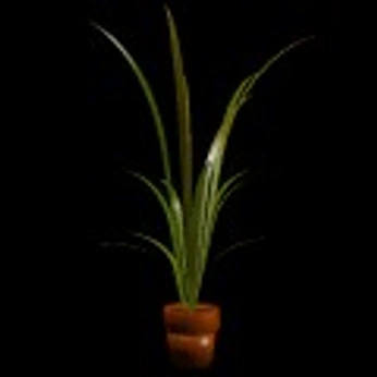 A cover of "✷" cluster. The owner is soldoutpharmacy. The cluster consists of 1 element.