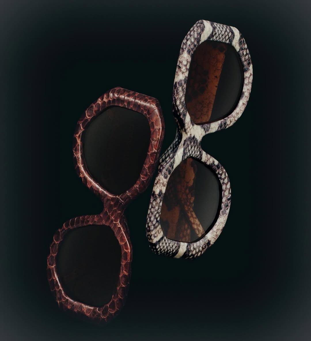 ANCORA sunglasses