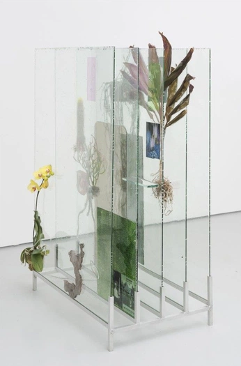 A cover of "expo" cluster. The owner is yillakwee. The cluster consists of 2 elements.