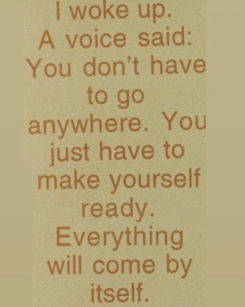 A cover of "Copy" cluster. The owner is samanderiss. The cluster consists of 12 elements.