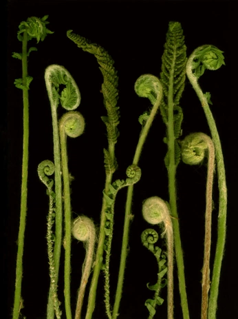 A cover of "earth" cluster. The owner is airelav. The cluster consists of 1 element.