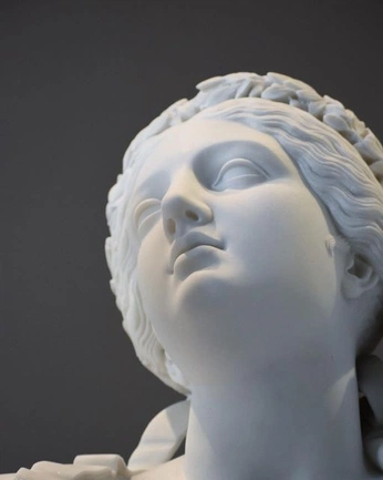 A cover of "References" cluster. The owner is maharani. The cluster consists of 341 elements.