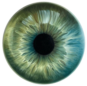 Thijs Veldwisch avatar