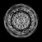 Cover of Cymatics cluster