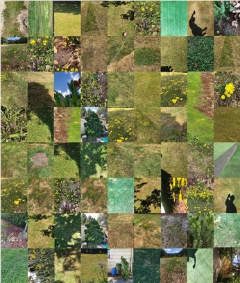 A cover of "COLLAGE_RESOURCE" cluster. The owner is haydayk. The cluster consists of 10 elements.