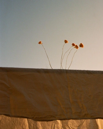 A cover of "Addition" cluster. The owner is gstco. The cluster consists of 61 elements.