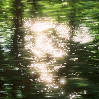 A cover of "Jungle" cluster. The owner is n1amh. The cluster consists of 6 elements.