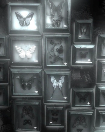 A cover of "Butterflies" cluster. The owner is quigi. The cluster consists of 14 elements.