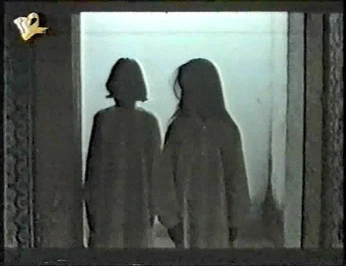 A cover of "Analog Horror" cluster. The owner is valennn. The cluster consists of 26 elements.