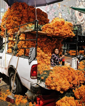 A cover of "mexa" cluster. The owner is ririxoxo. The cluster consists of 8 elements.