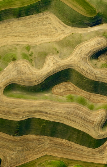 A cover of "фактура🍃" cluster. The owner is arinchik. The cluster consists of 10 elements.