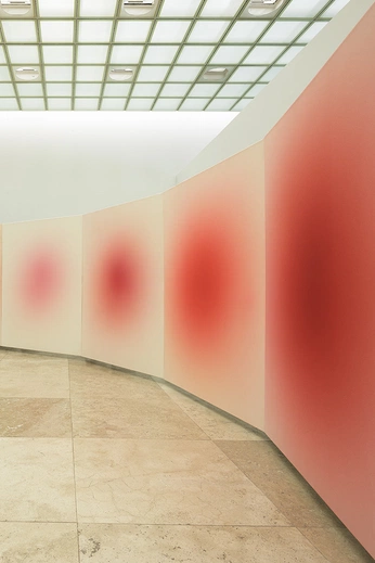 A cover of "color" cluster. The owner is sashavertigo. The cluster consists of 3 elements.