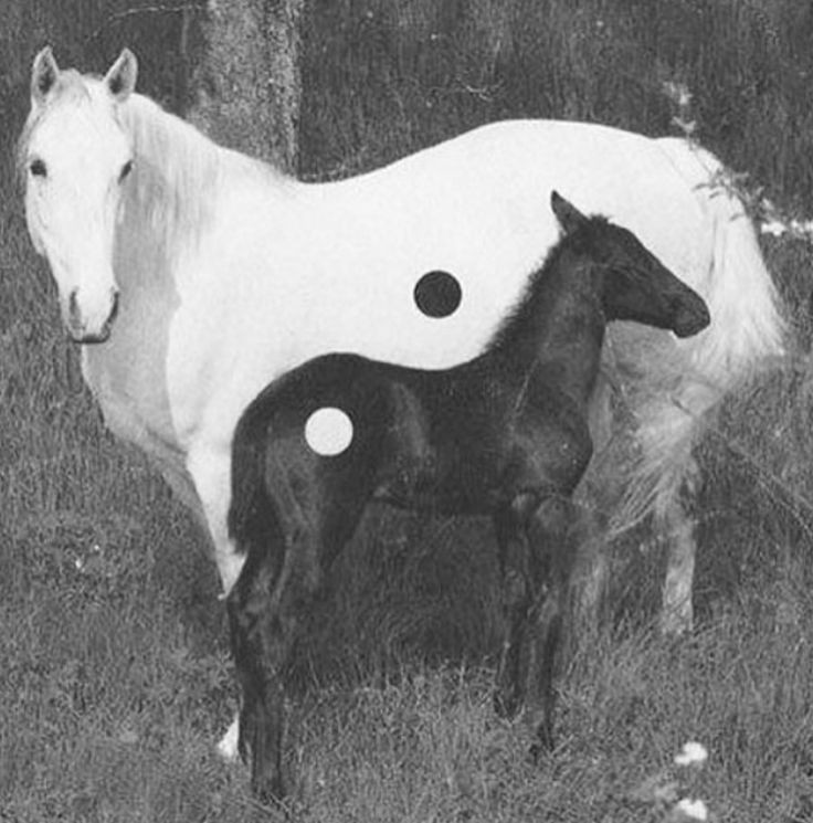 Spotify playlist covers