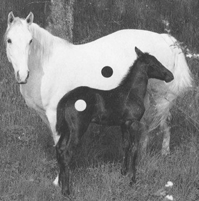 Spotify Playlist Covers Victorianpsycho Cosmos