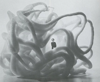 A cover of "PHOTOGRAPHY" cluster. The owner is cmlla. The cluster consists of 61 elements.