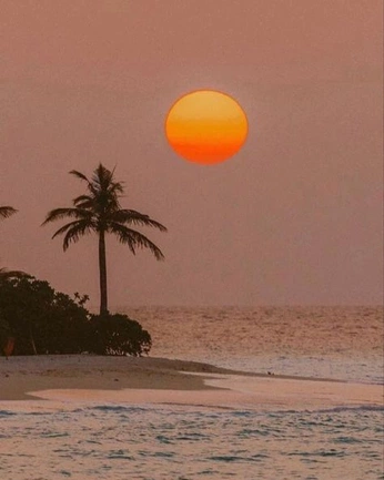 A cover of "Tropical" cluster. The owner is georgienewbrun. The cluster consists of 26 elements.