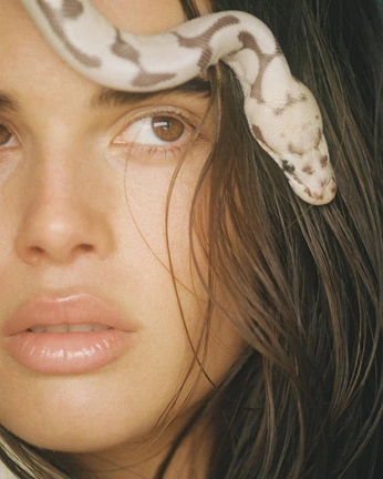 A cover of "shooting ideas" cluster. The owner is taegerim. The cluster consists of 37 elements.