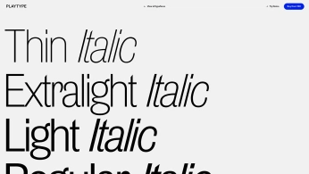 A cover of "typo" cluster. The owner is 0000000. The cluster consists of 1 element.