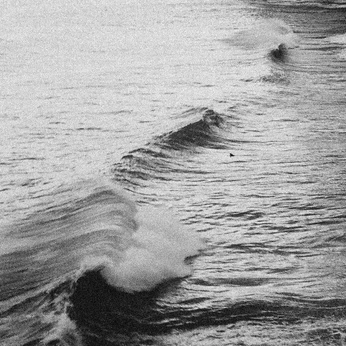 A cover of "eco" cluster. The owner is elisanous. The cluster consists of 413 elements.