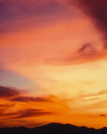 A cover of "Moodboard wallpaper" cluster. The owner is imnotmariam. The cluster consists of 46 elements.