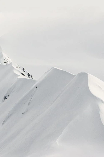 A cover of "organic" cluster. The owner is bella.fig. The cluster consists of 56 elements.