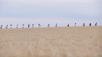 Cover of locomotion cluster