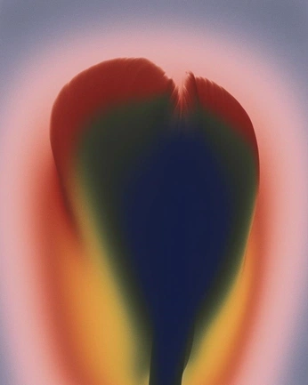 A cover of "Texturas" cluster. The owner is mokshacreates. The cluster consists of 9 elements.