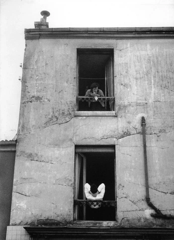 A cover of "photography" cluster. The owner is truly.justine. The cluster consists of 3 elements.