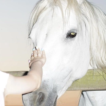 A cover of "Photography" cluster. The owner is underpant. The cluster consists of 3 elements.