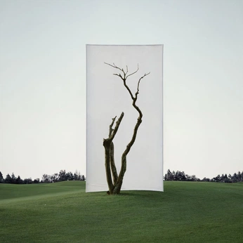 A cover of "Cloth of nature" cluster. The owner is xencreative. The cluster consists of 5 elements.