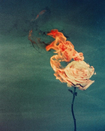 A cover of "Taurus" cluster. The owner is thecultofmindy. The cluster consists of 5 elements.