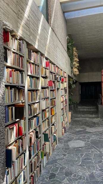 A cover of "CDMX" cluster. The owner is mirandis. The cluster consists of 4 elements.