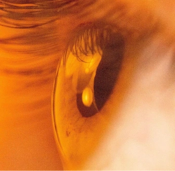 A cover of "gpp" cluster. The owner is asumanays. The cluster consists of 236 elements.