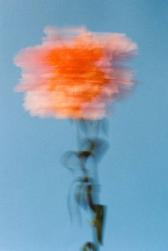 A cover of "Experimental Photography" cluster. The owner is akanksha. The cluster consists of 8 elements.