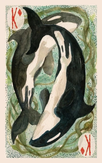 A cover of "插畫" cluster. The owner is amychiu. The cluster consists of 1 element.