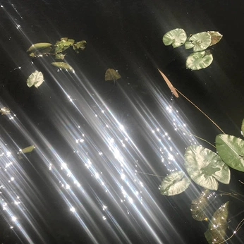 A cover of "Que problema" cluster. The owner is s.marquezg. The cluster consists of 15 elements.