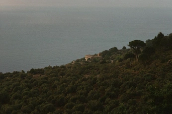 A cover of "gaia" cluster. The owner is earthangel. The cluster consists of 33 elements.