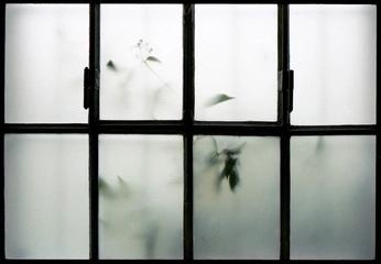 A cover of "Windows" cluster. The owner is jofleischhauer. The cluster consists of 6 elements.