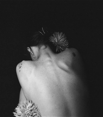 A cover of "⚜️" cluster. The owner is abirraoud. The cluster consists of 10 elements.