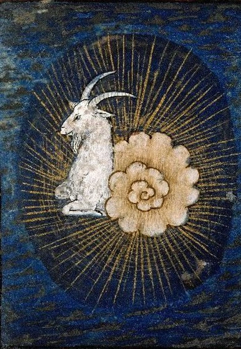 A cover of "Capricorn" cluster. The owner is ferroply. The cluster consists of 2 elements.