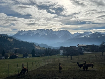 A cover of "ALPES" cluster. The owner is borbala. The cluster consists of 47 elements.