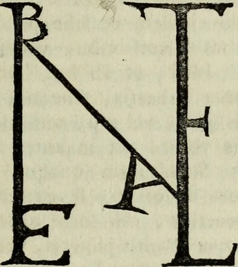 A cover of "TYPO" cluster. The owner is lattirail. The cluster consists of 2 elements.