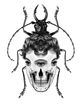 A cover of "diseño" cluster. The owner is caoss. The cluster consists of 2 elements.