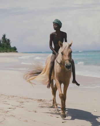 A cover of "Cais" cluster. The owner is jonathan.almeida. The cluster consists of 127 elements.