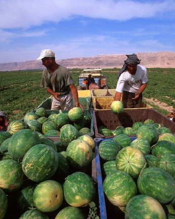 A cover of "street photography" cluster. The owner is mrunalifying. The cluster consists of 4 elements.