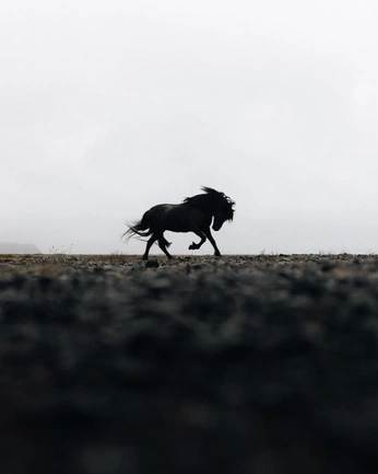 A cover of "Love it" cluster. The owner is divinecherry. The cluster consists of 2 elements.