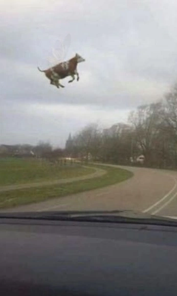 A cover of "Locandina" cluster. The owner is mmrzlife. The cluster consists of 13 elements.