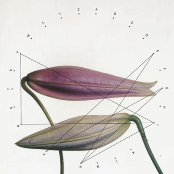 A cover of "Moodboard for BOTANICS" cluster. The owner is marinals. The cluster consists of 161 elements.