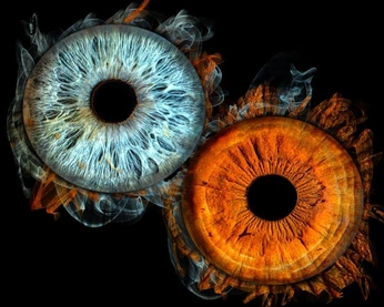 A cover of "Дизайн" cluster. The owner is irismoscow. The cluster consists of 25 elements.