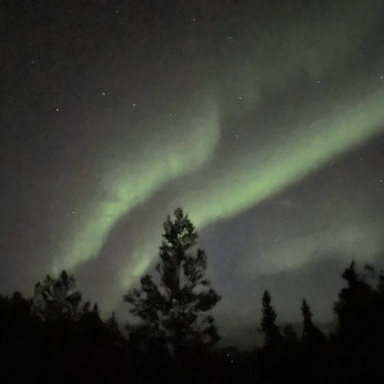 A cover of "🧘🏻‍♀️" cluster. The owner is esauulova. The cluster consists of 49 elements.